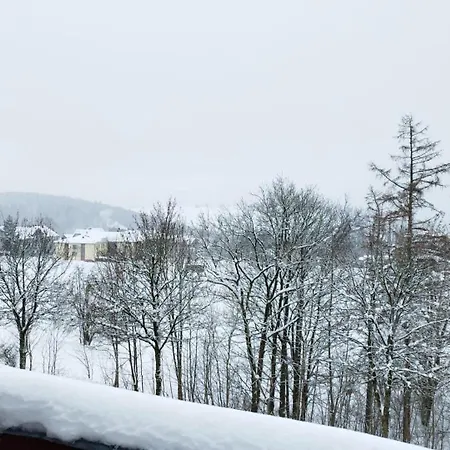 Apartmán Cozystay - Gemuetliche Im Oberharz