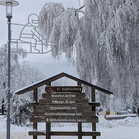 Cozystay - Gemuetliche Im Oberharz Apartmán Sankt Andreasberg