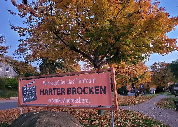 Cozystay - Gemuetliche Im Oberharz * Sankt Andreasberg